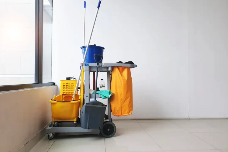 Sn'zee Group Cleaning Services